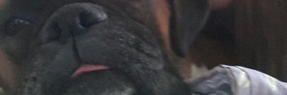 jinnybrack's profile banner image