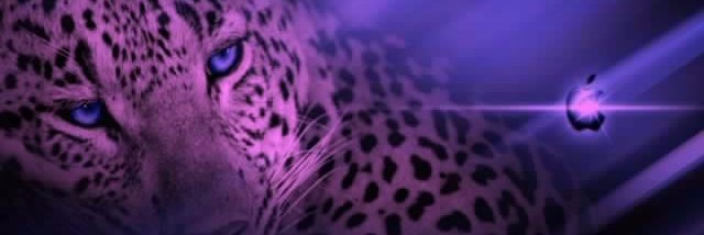 treasuresqueen's profile banner image