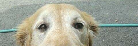 Ferkinnamesgone's profile banner image
