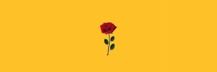sappp____'s profile banner image