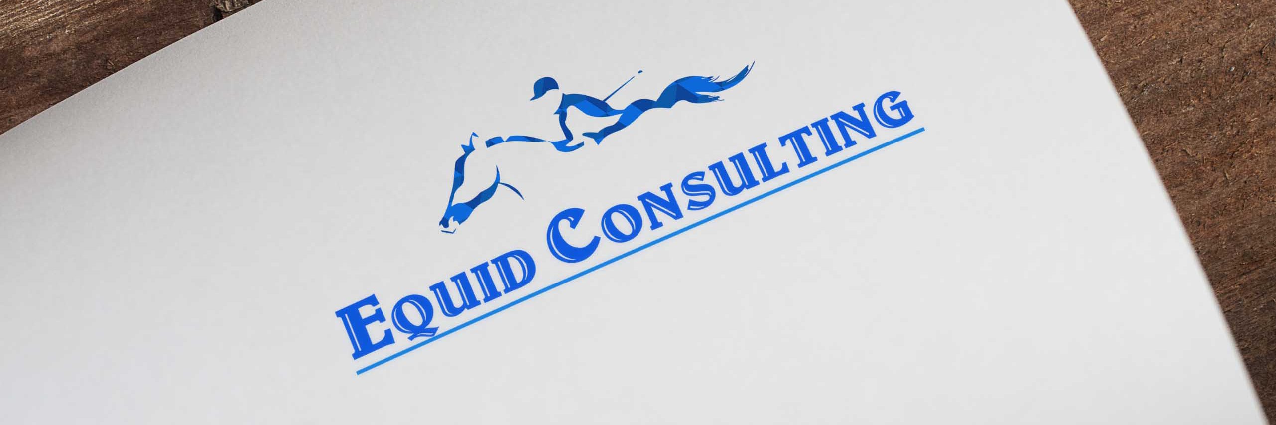 EquidConsulting's profile banner image