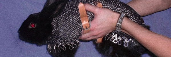 laraisuncool Profile Banner