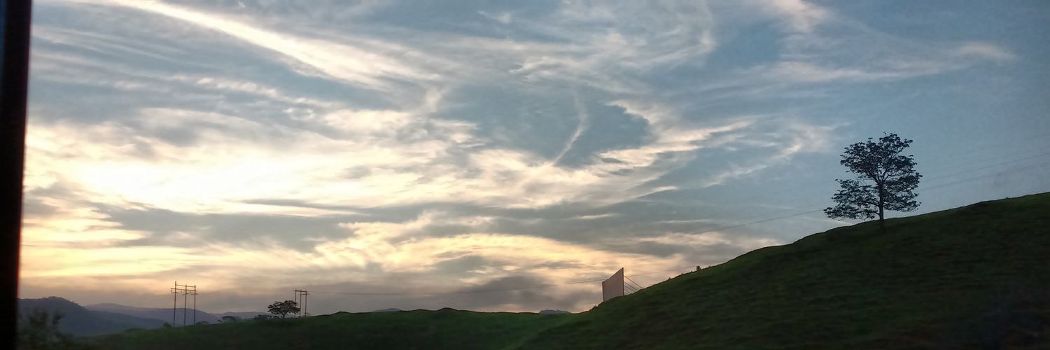 GPassosL's profile banner image