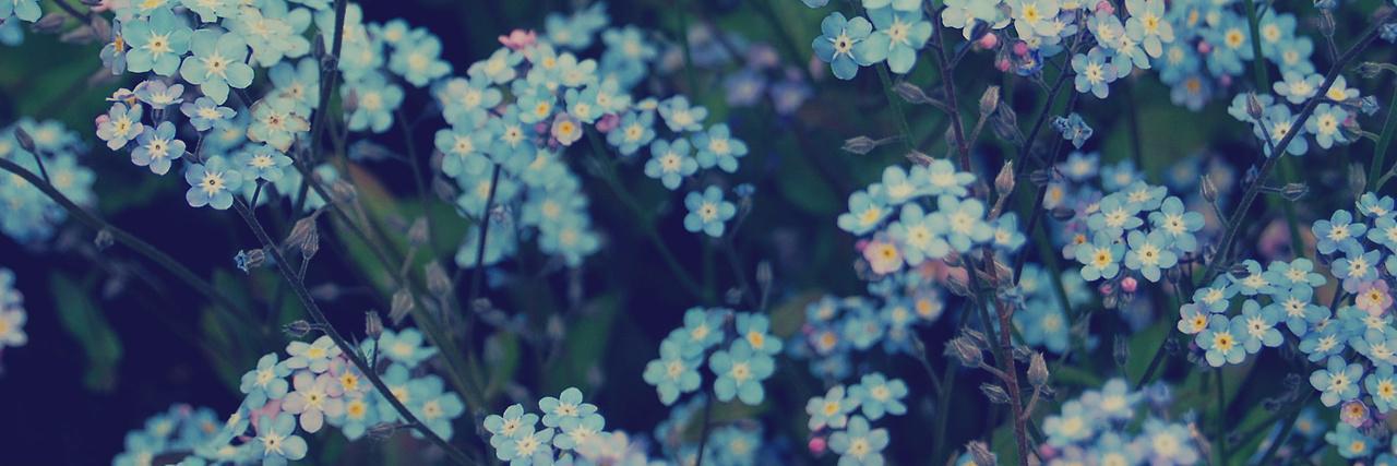 Marlene_DIL's profile banner image