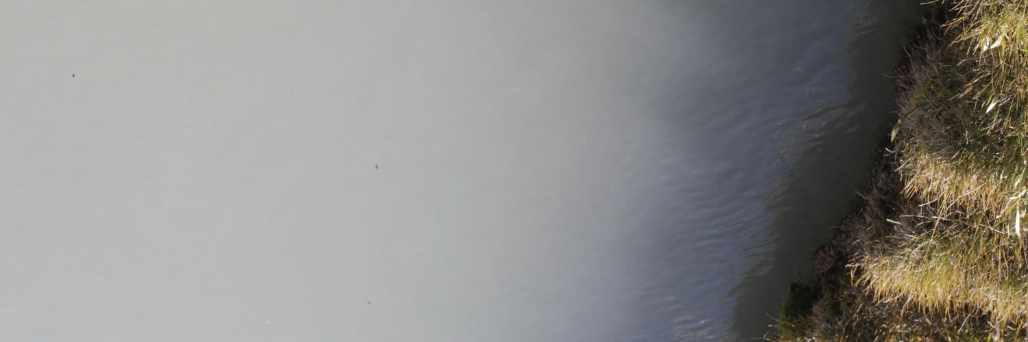 Ian Elliott banner