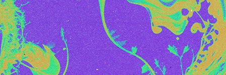 max ulis banner