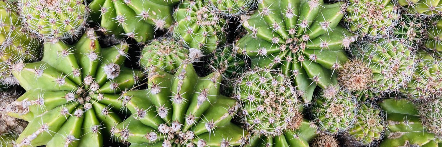 MissFedoraPaganini banner