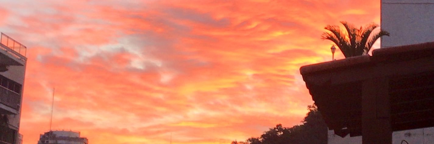 maiaraviny's profile banner image