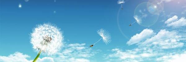 Wendys_Window's profile banner image