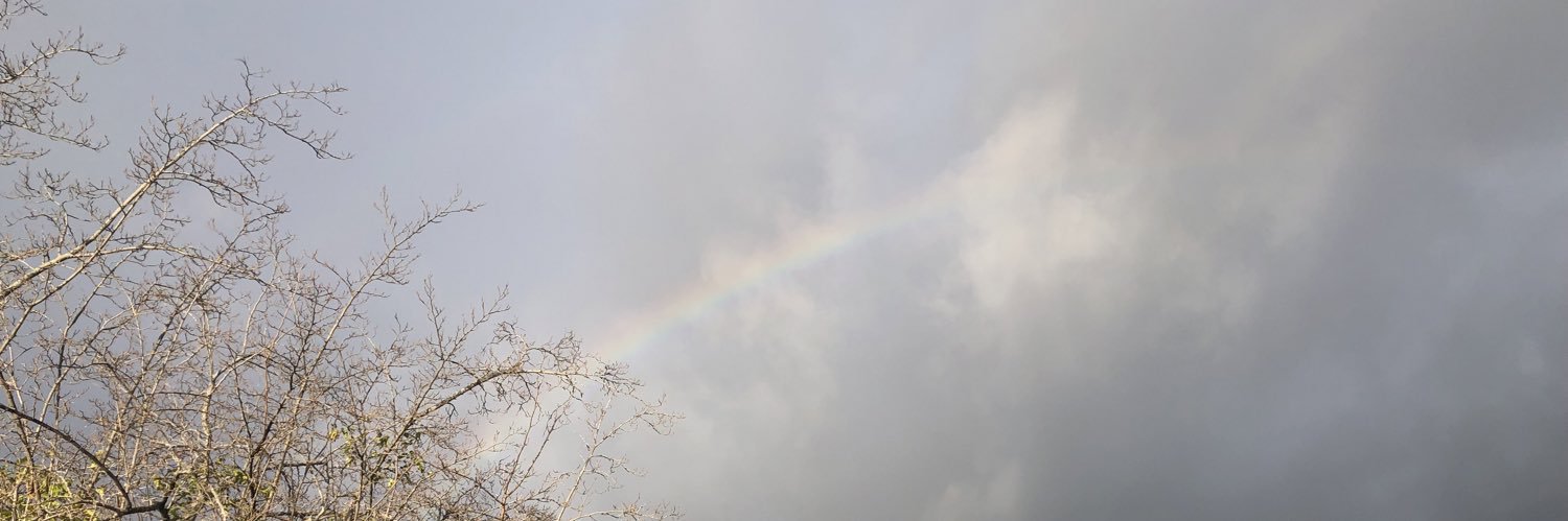 AvocadoPTA's profile banner image