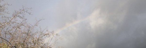 AvocadoPTA Profile Banner