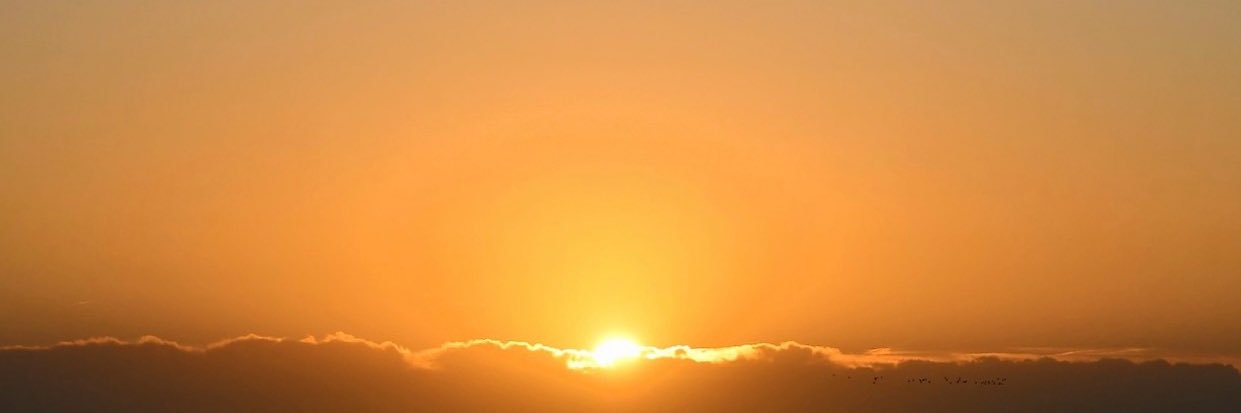 mos0305's profile banner image