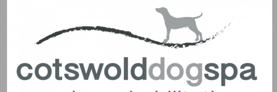 CotswoldDogSpa's profile banner image