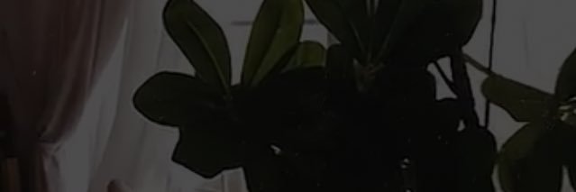 amon52's profile banner image