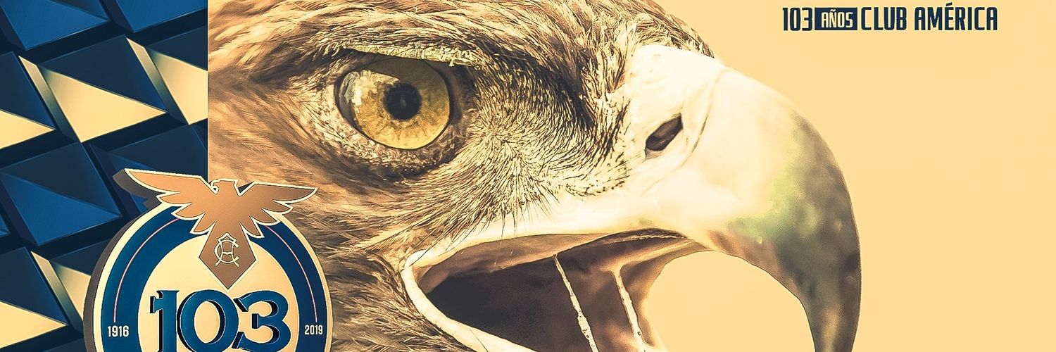 osgom82's profile banner image