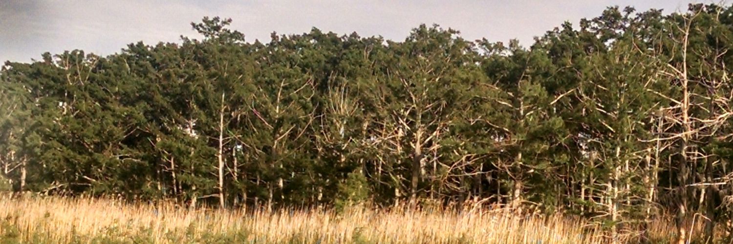 JChoate38's profile banner image