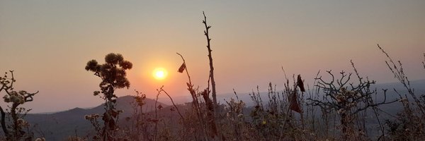 CaleoneMbewe Profile Banner