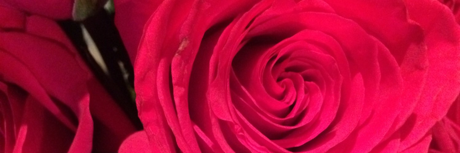 iheartposada's profile banner image