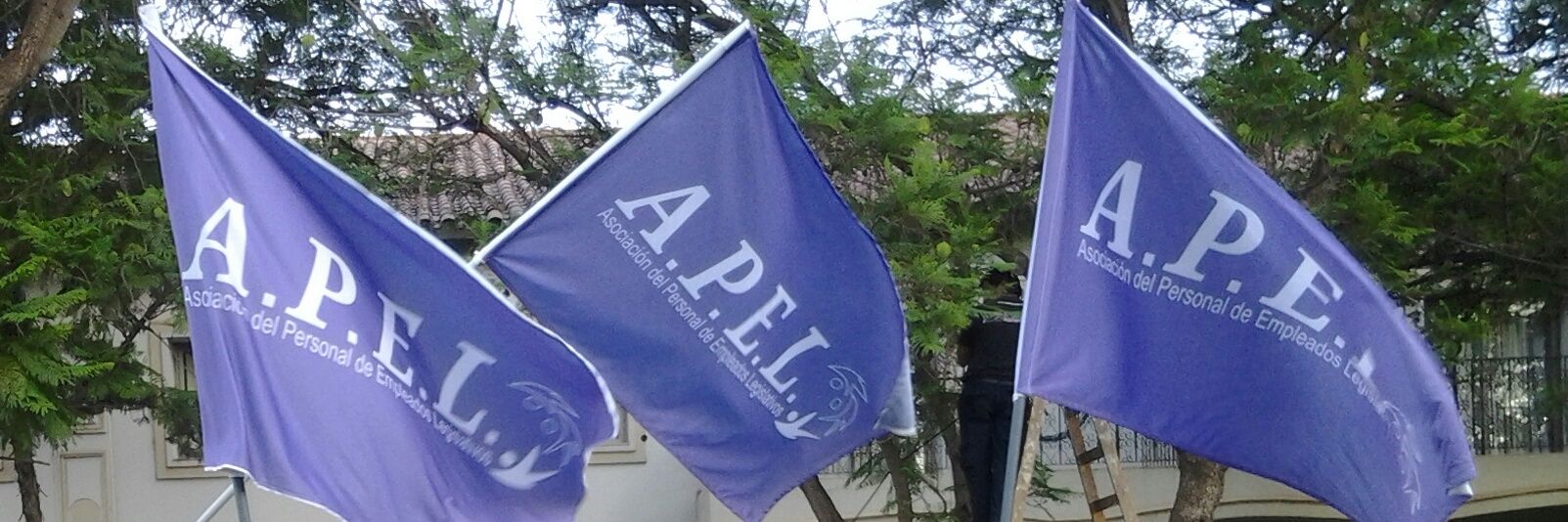 ApelPrensa's profile banner image