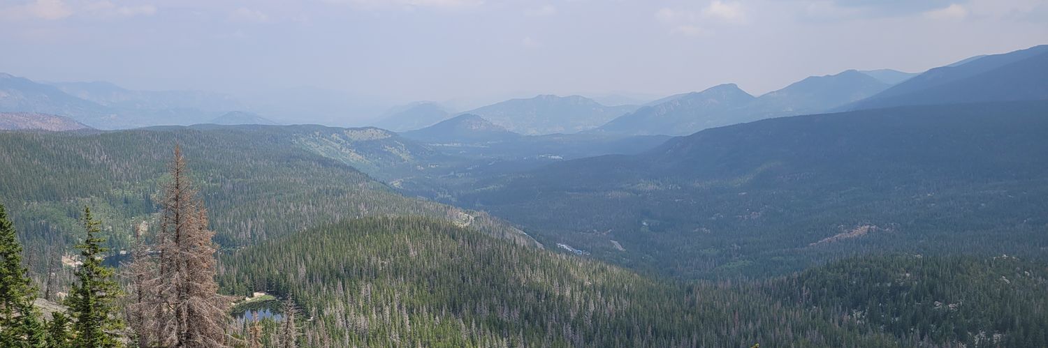Brandon_G_D's profile banner image
