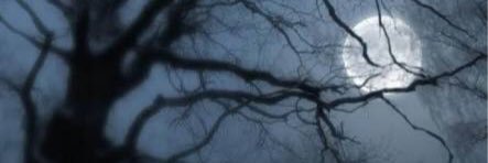 conpieldelobo's profile banner image