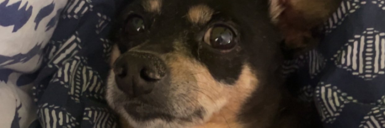 ___Booker's profile banner image