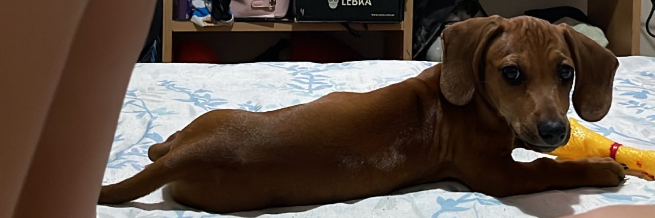 valennn_g's profile banner image