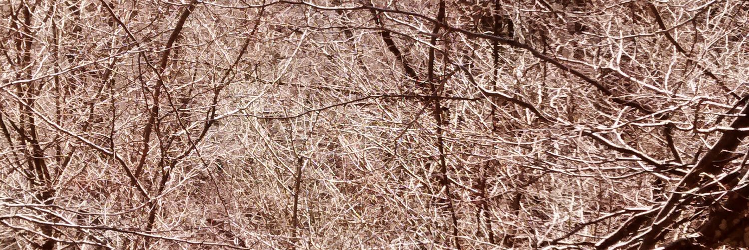 Mapi7010's profile banner image