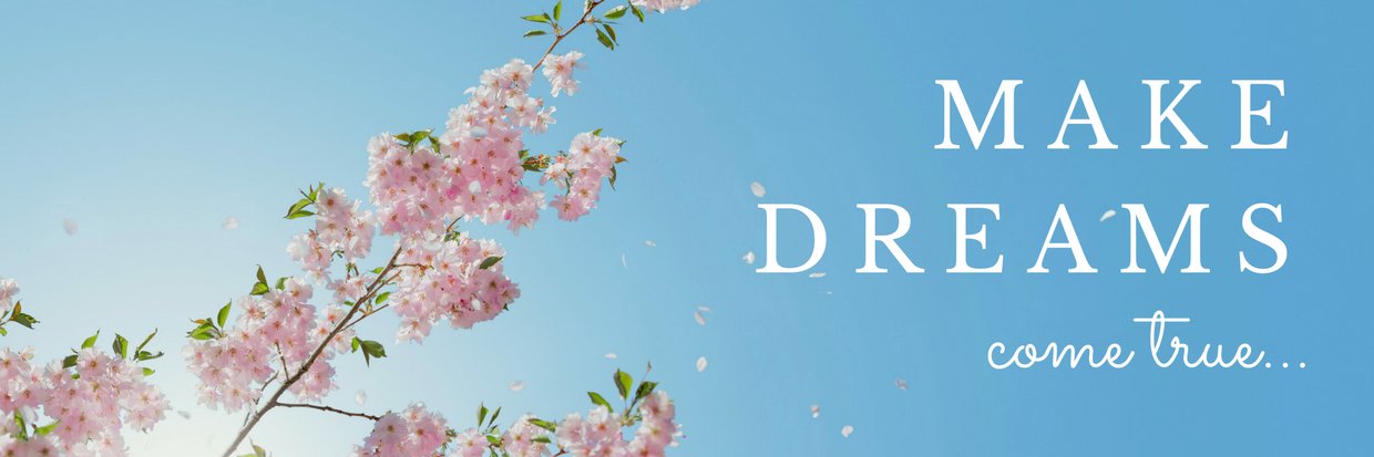 Bellamuumuu's profile banner image
