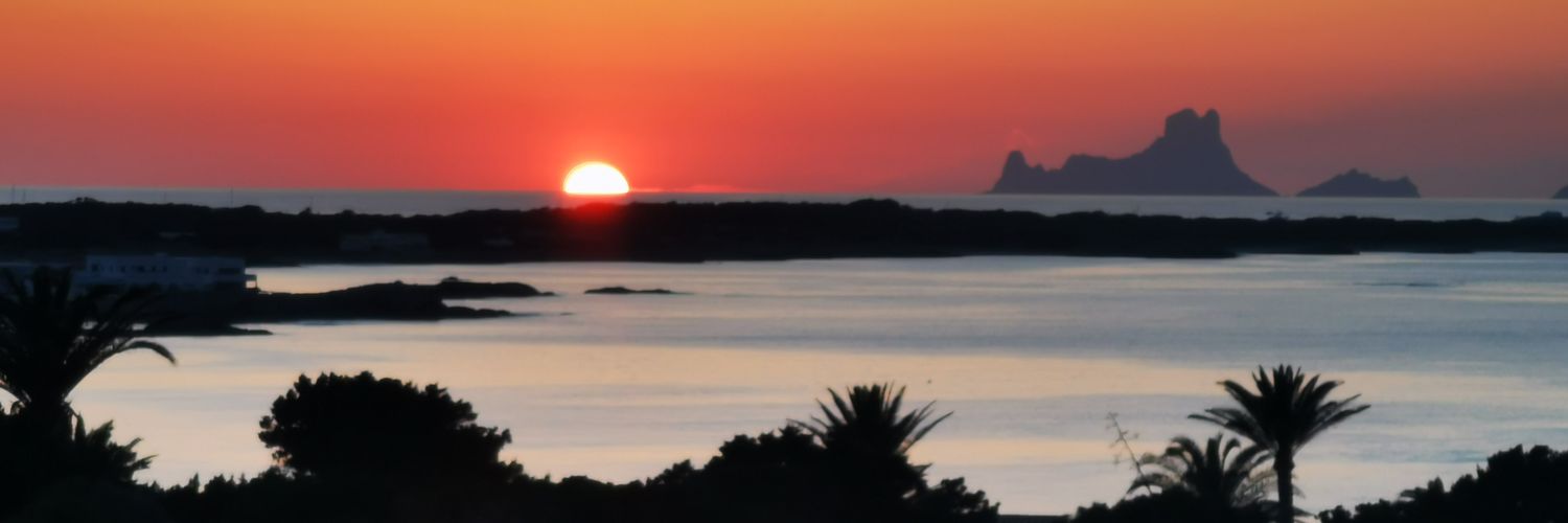 Vicente banner