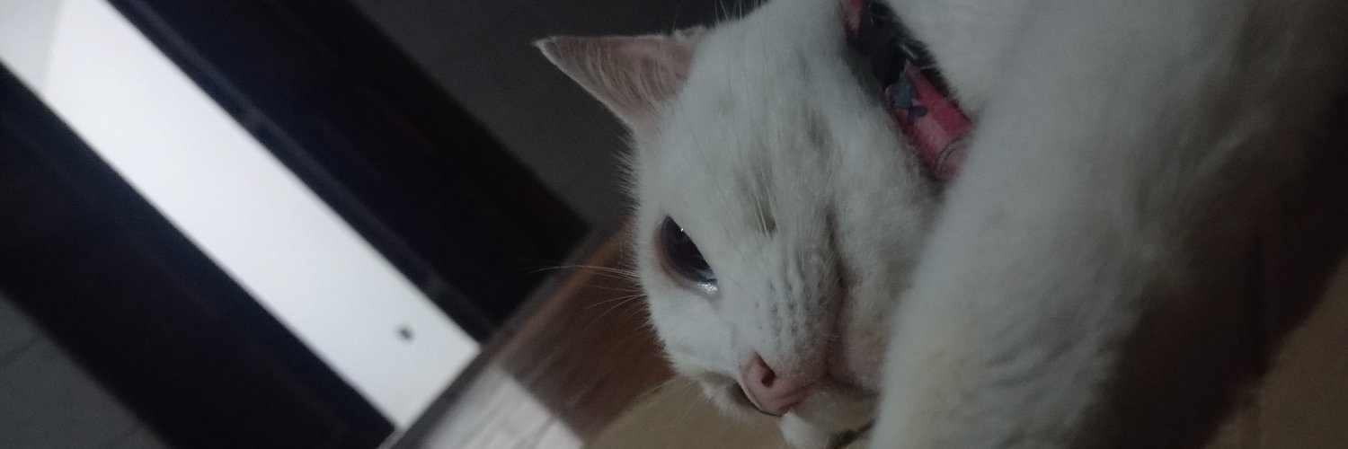 Marcurry_30's profile banner image