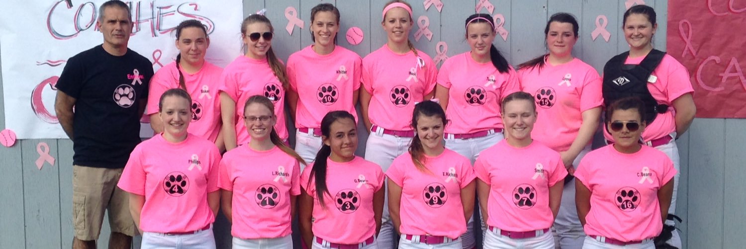 softball_acs's profile banner image