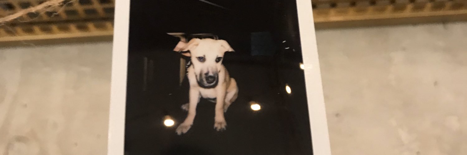 KellyRossiter's profile banner image