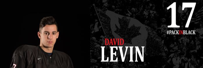 David_levin71's profile banner image