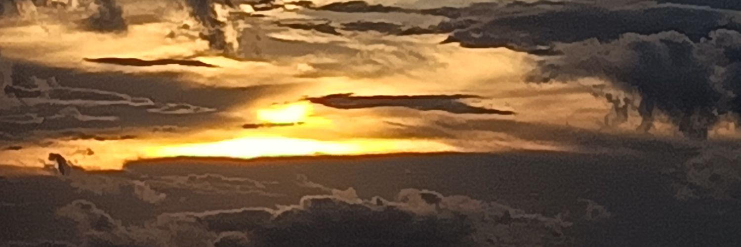 Mark A. Di Carlo's banner
