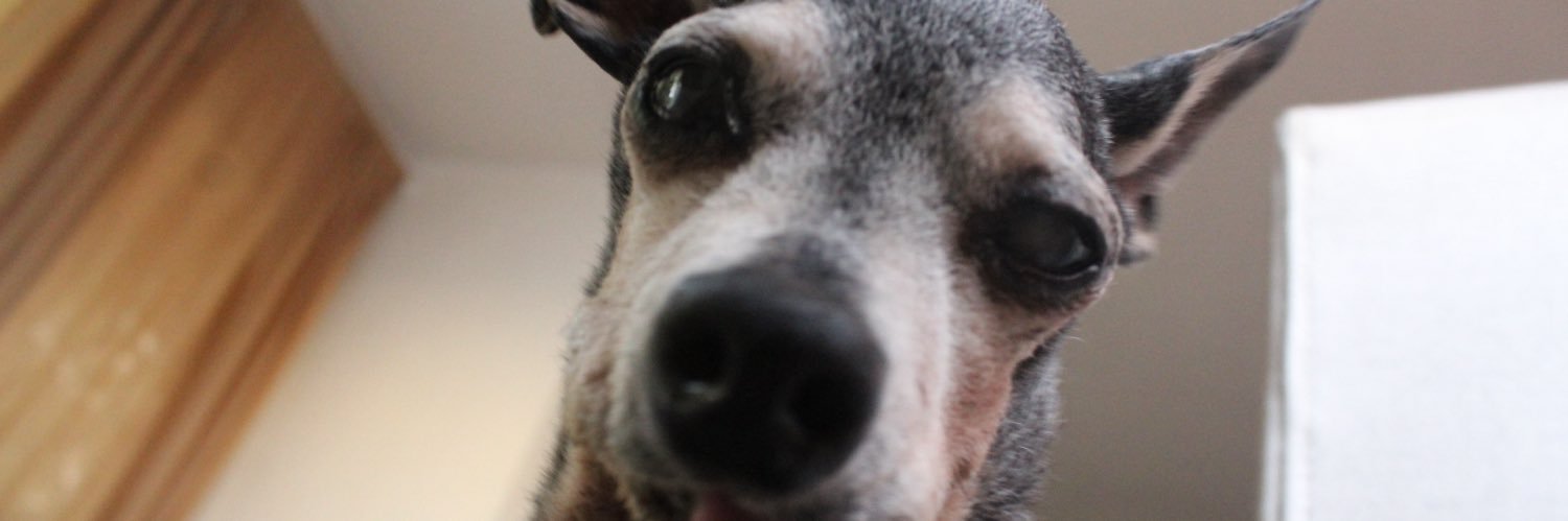 lauracabasp's profile banner image