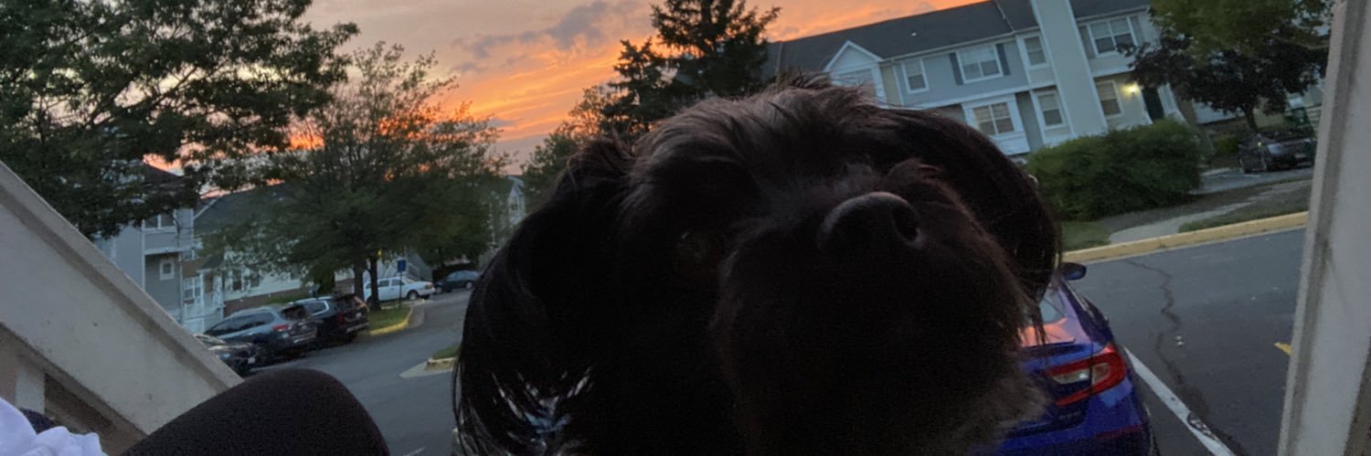T0NELOW's profile banner image