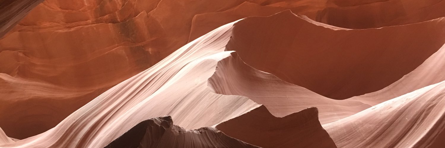 gracebeaudry12's profile banner image