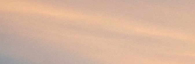 gabriela banner