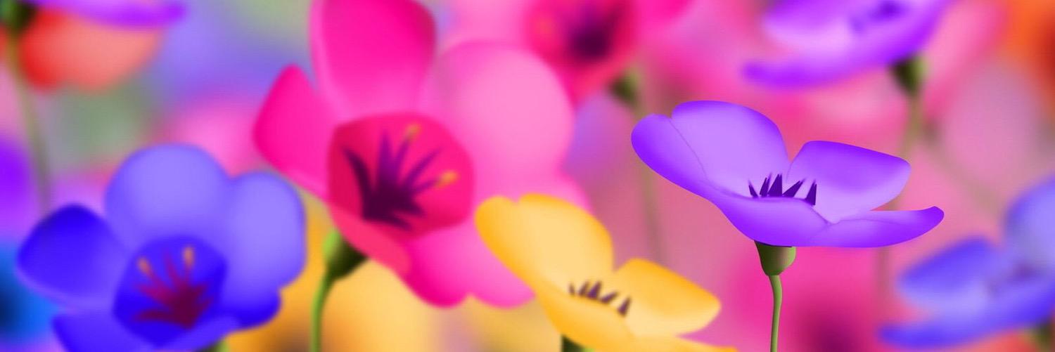 lisakgallagher's profile banner image