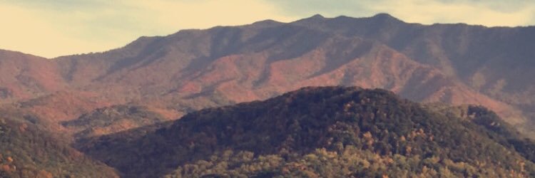 karleeschutter's profile banner image