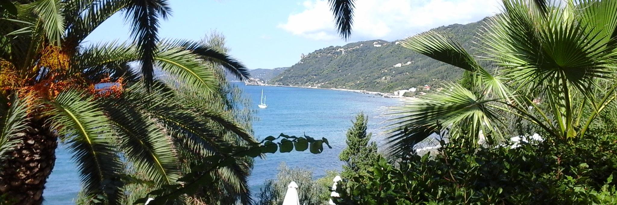 LLADDIS's profile banner image
