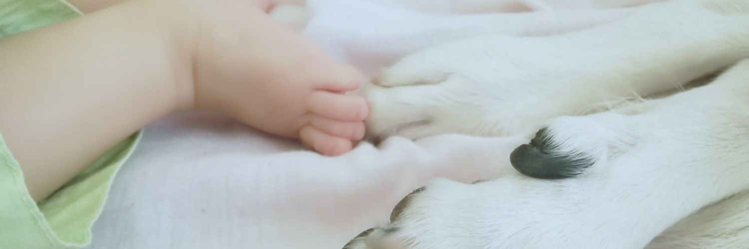 JoAsia_Kate's profile banner image