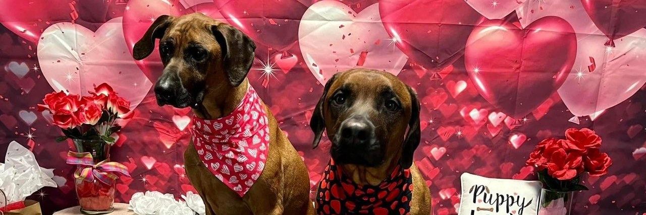 chrisg2000bc's profile banner image