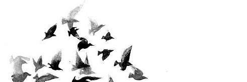BananALRuhaimi's profile banner image