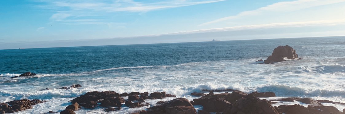 camilonga_longa's profile banner image