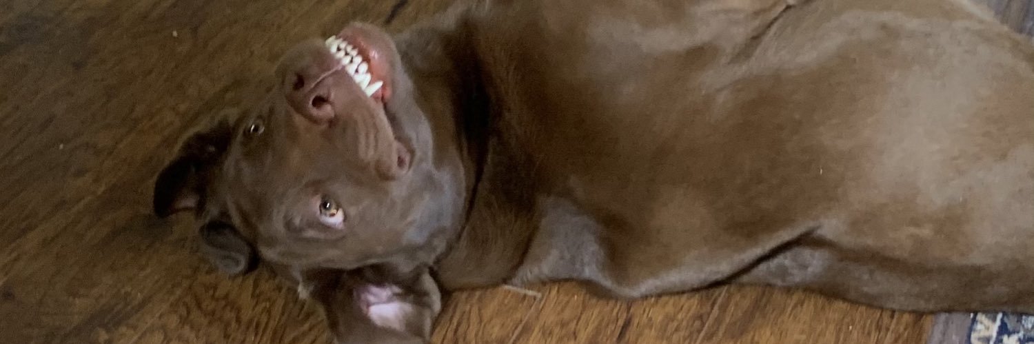 🇨🇦MsLiz🇨🇦 banner