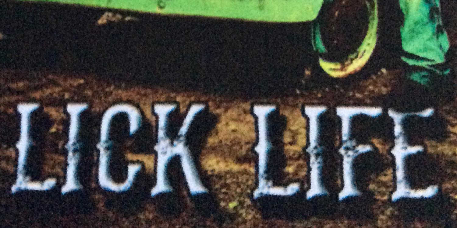 horrigan16's profile banner image