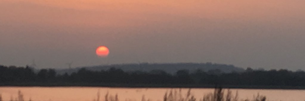 Nikolaj CosterWaldau banner