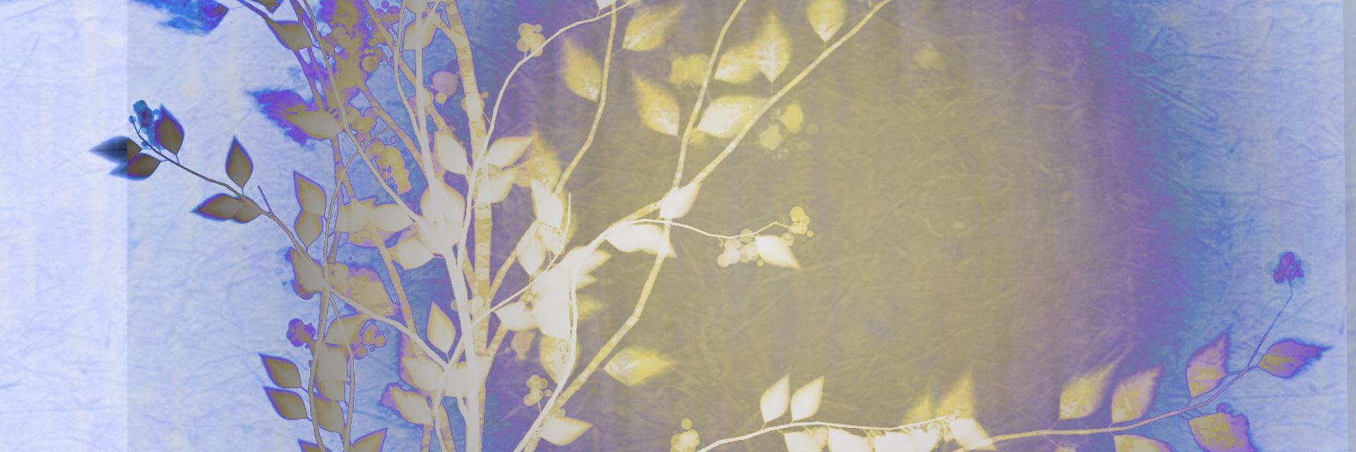 SusanLCSW's profile banner image